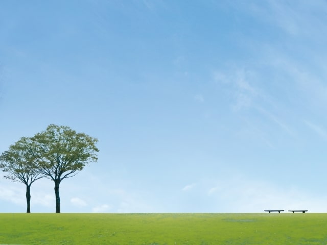 青い空と緑の草原の写真